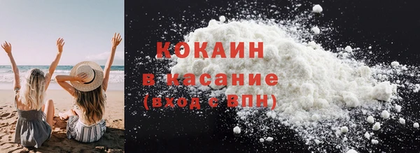 сатива Балахна