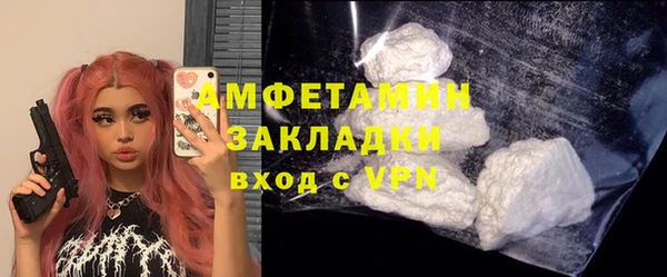 сатива Балахна